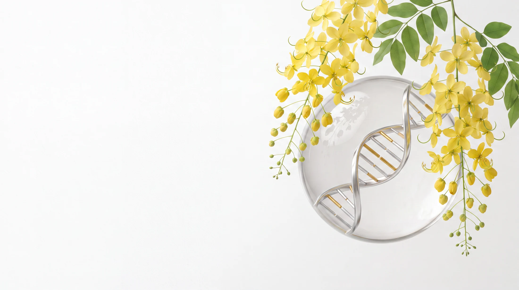 A glass DNA sphere framed by cascading golden shower flowers